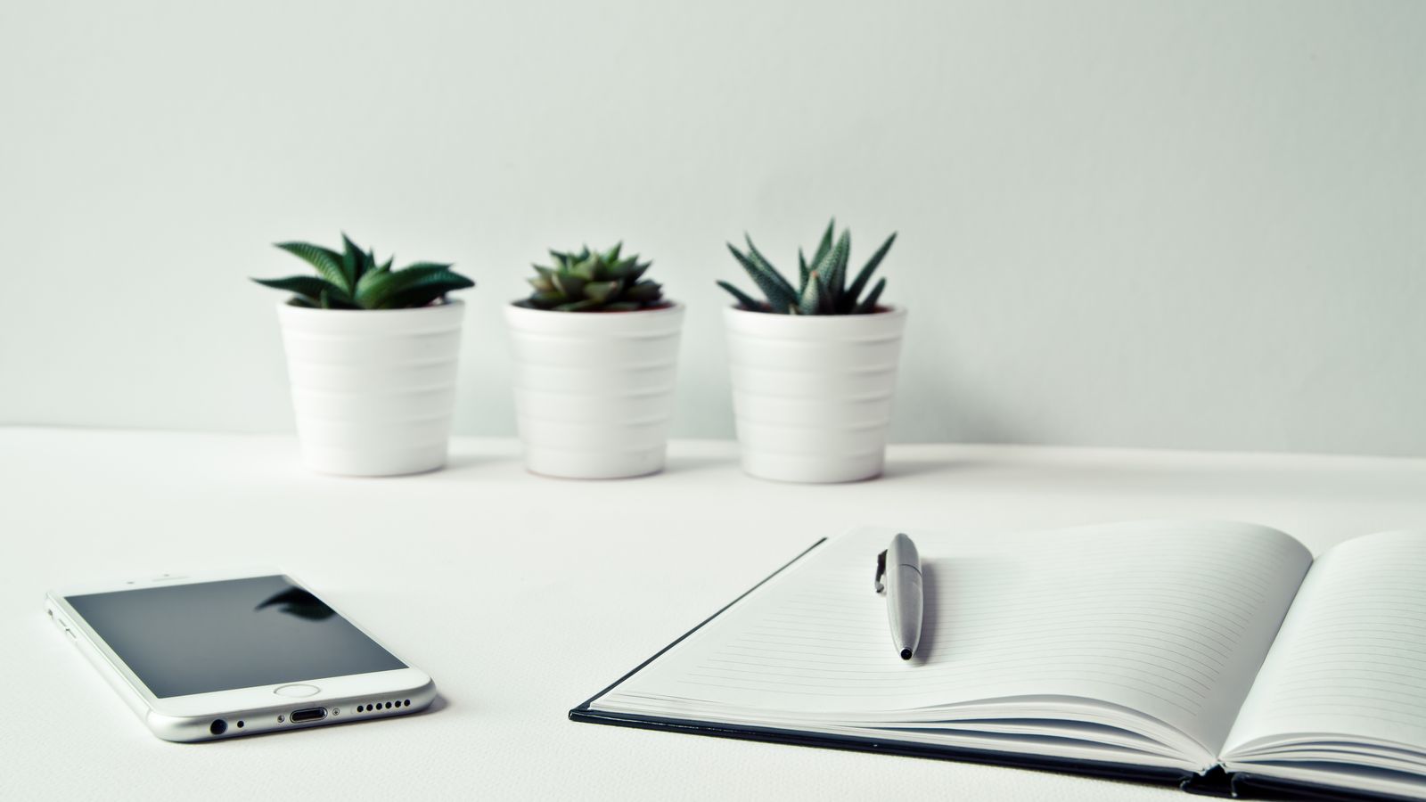 An open notepad and smartphone beside small potted plants.
