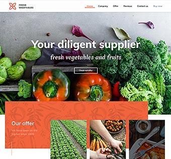 splash home vegetables